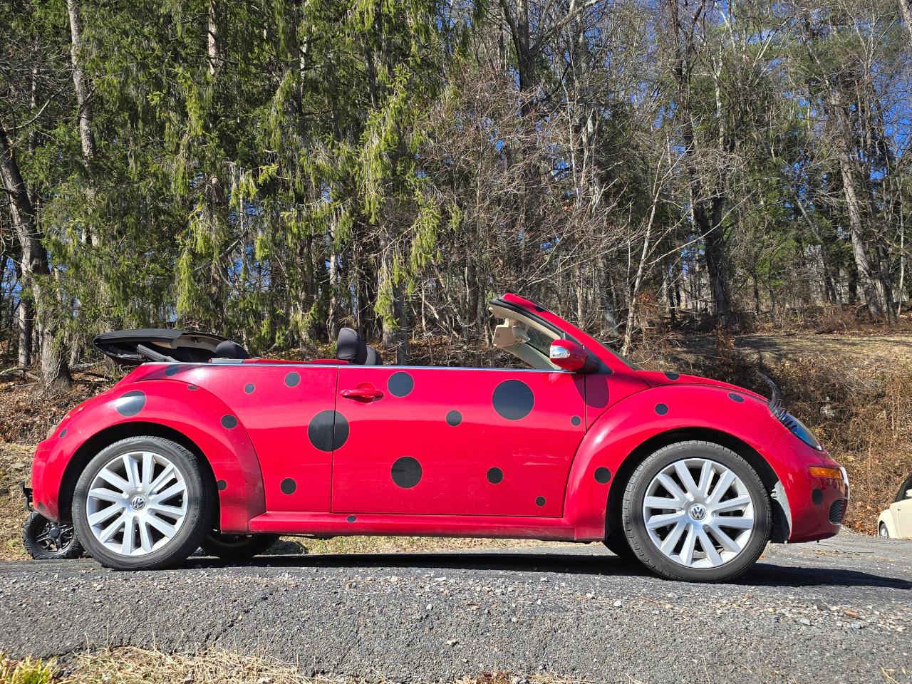 Volkswagen New Beetle SE Convertible 2009