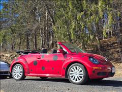 2009 Volkswagen New Beetle 