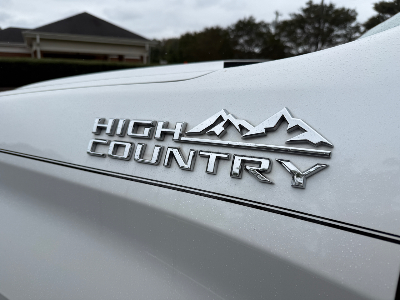 Chevrolet Silverado 1500  2021 Chevrolet Silverado 1500  2021