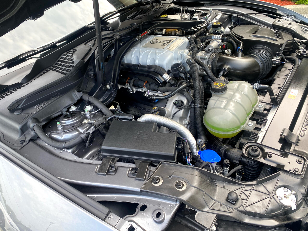 Ford Shelby GT500 Coupe 2021 Ford Shelby GT500 Coupe 2021