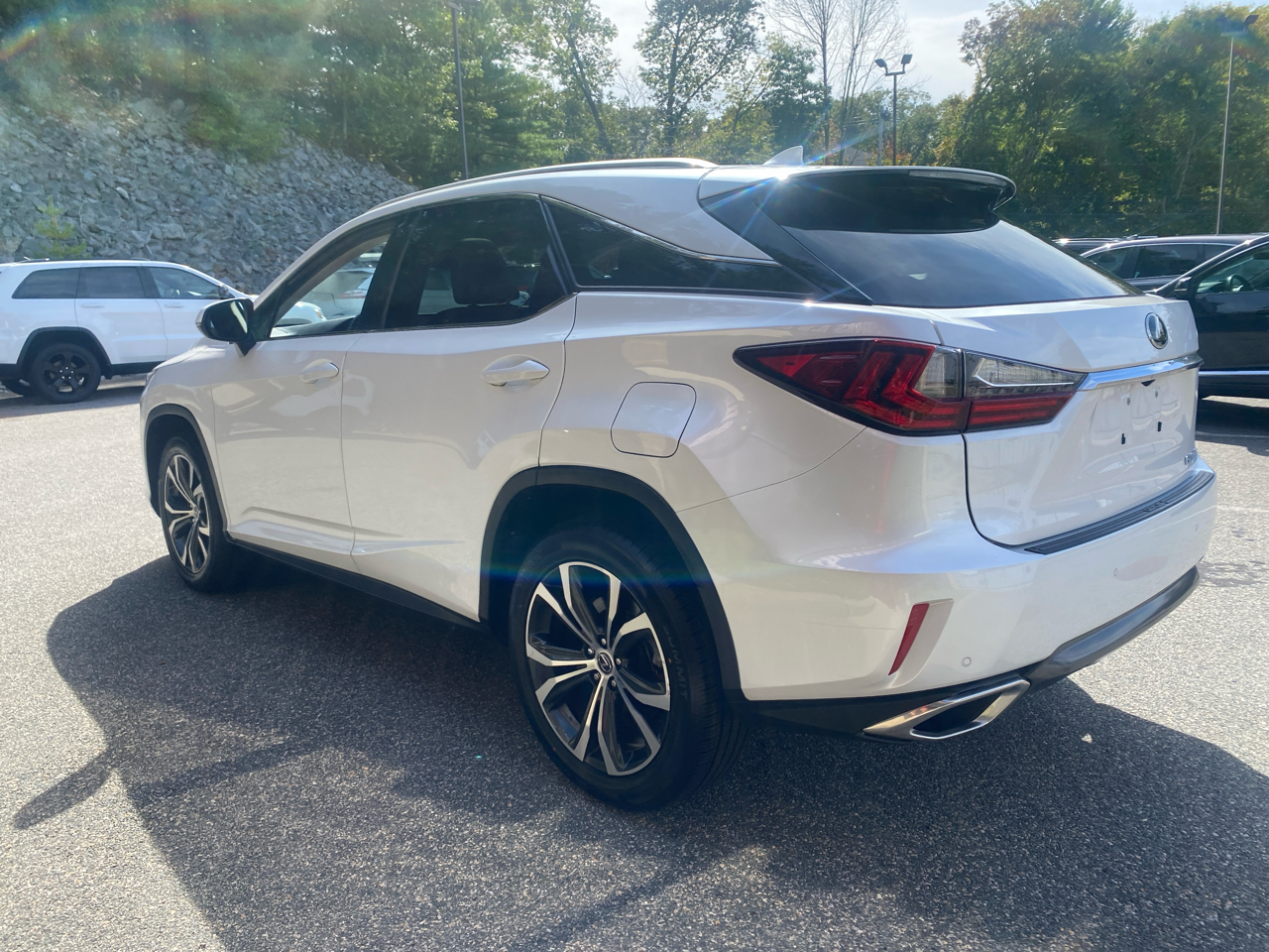 2018 Lexus RX 350 F SPORT photo 3