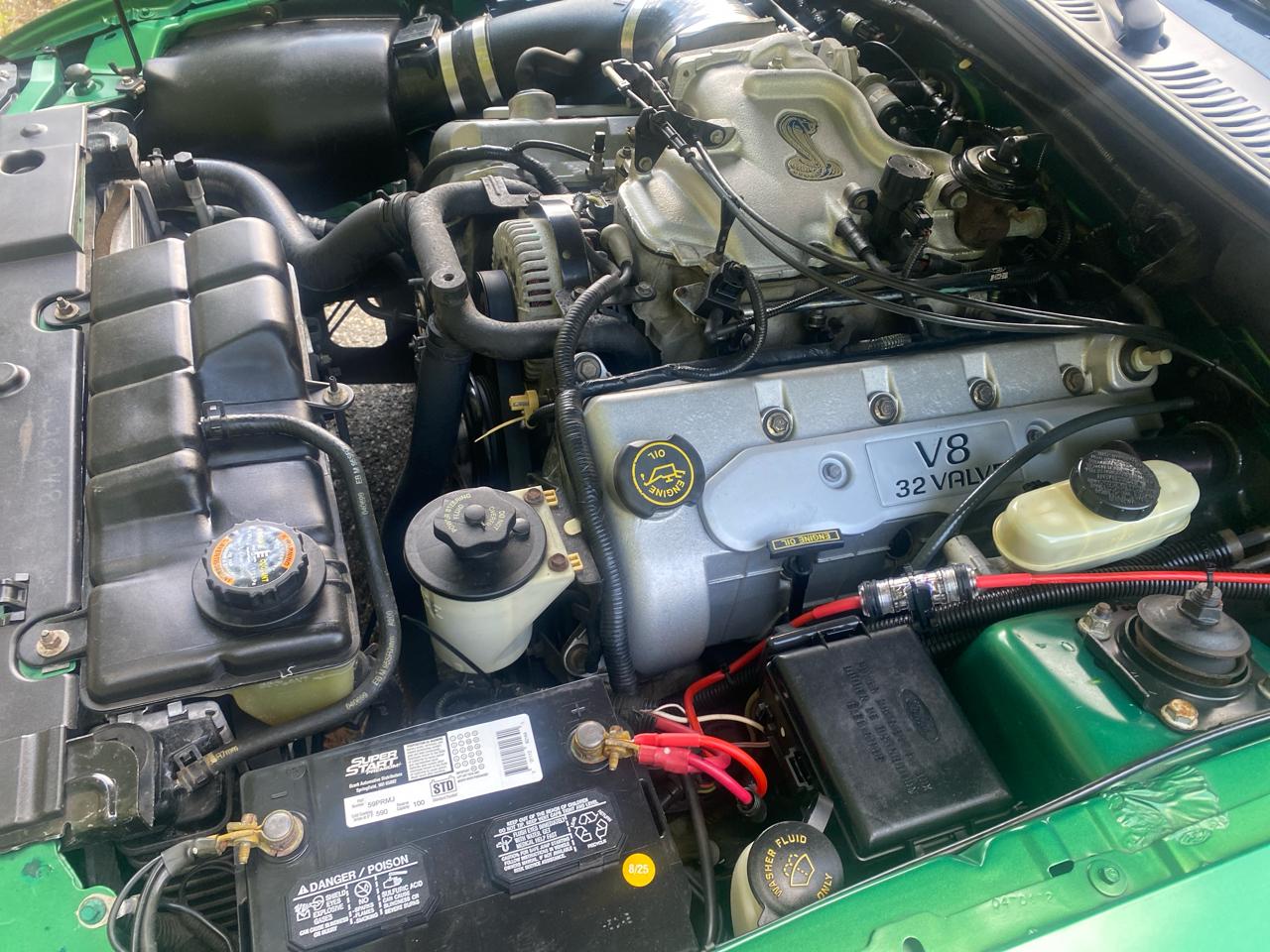 Ford Mustang SVT Cobra Convertible 1999