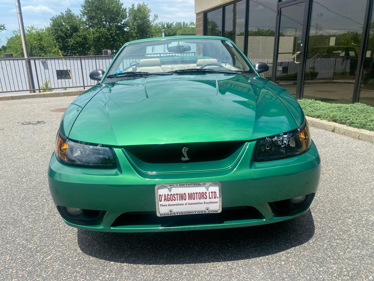 Ford Mustang SVT Cobra Convertible 1999