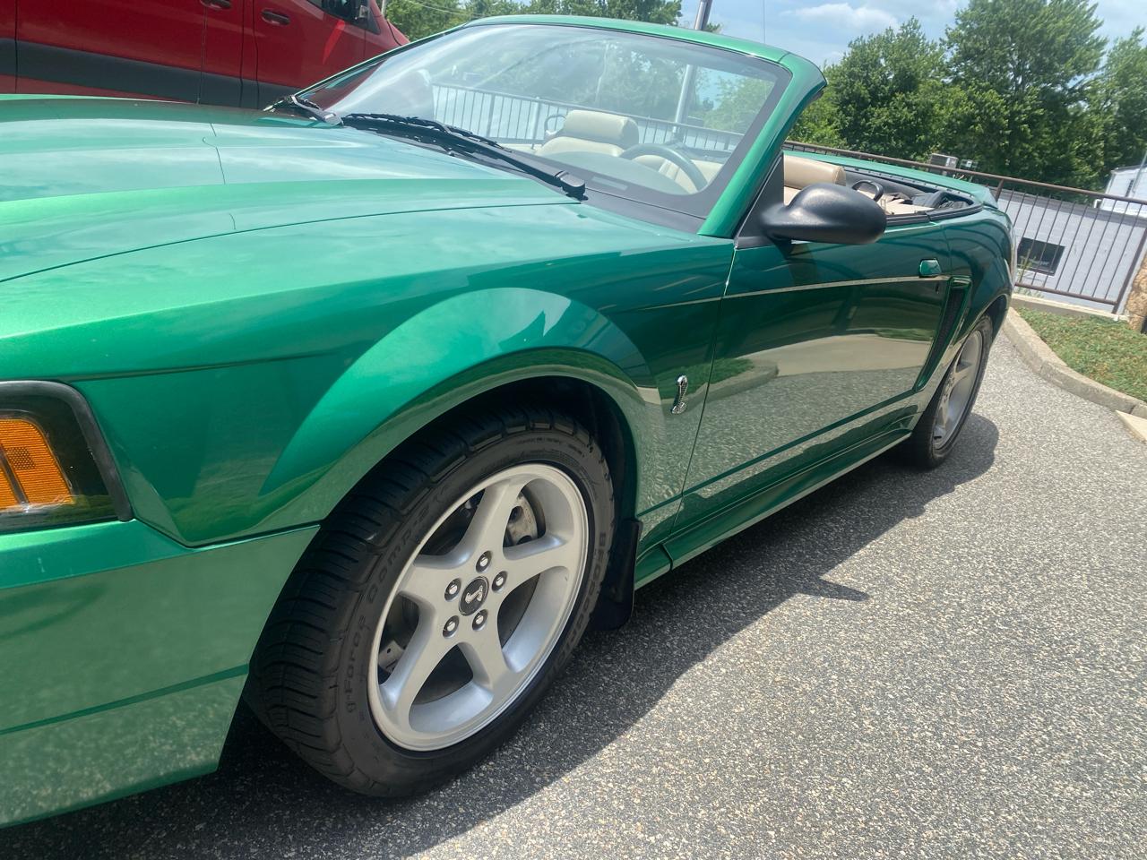 Ford Mustang SVT Cobra Convertible 1999