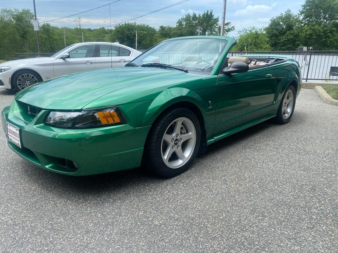 Ford Mustang SVT Cobra Convertible 1999