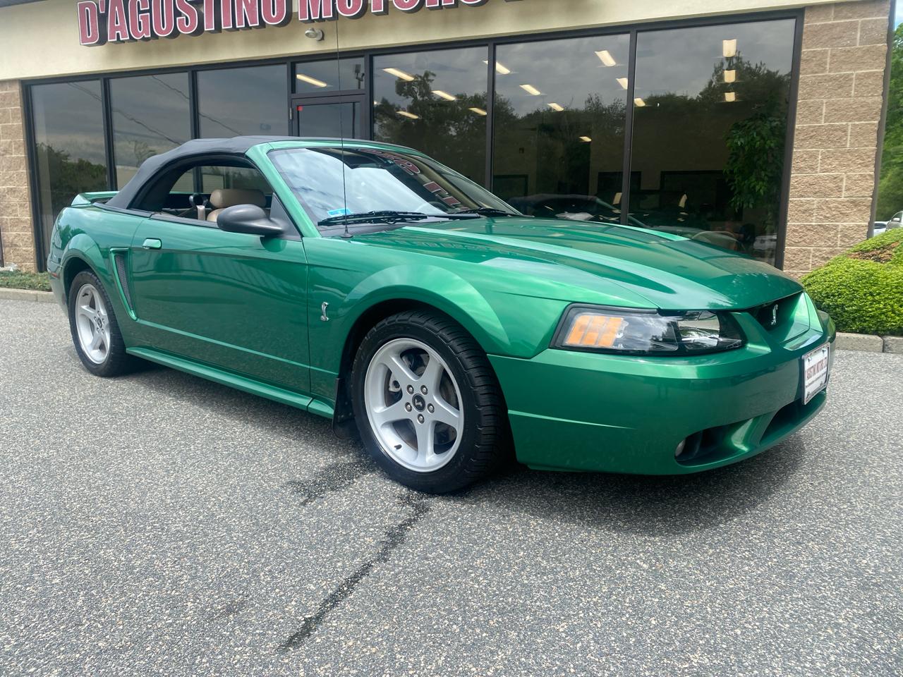 Ford Mustang SVT Cobra Convertible 1999