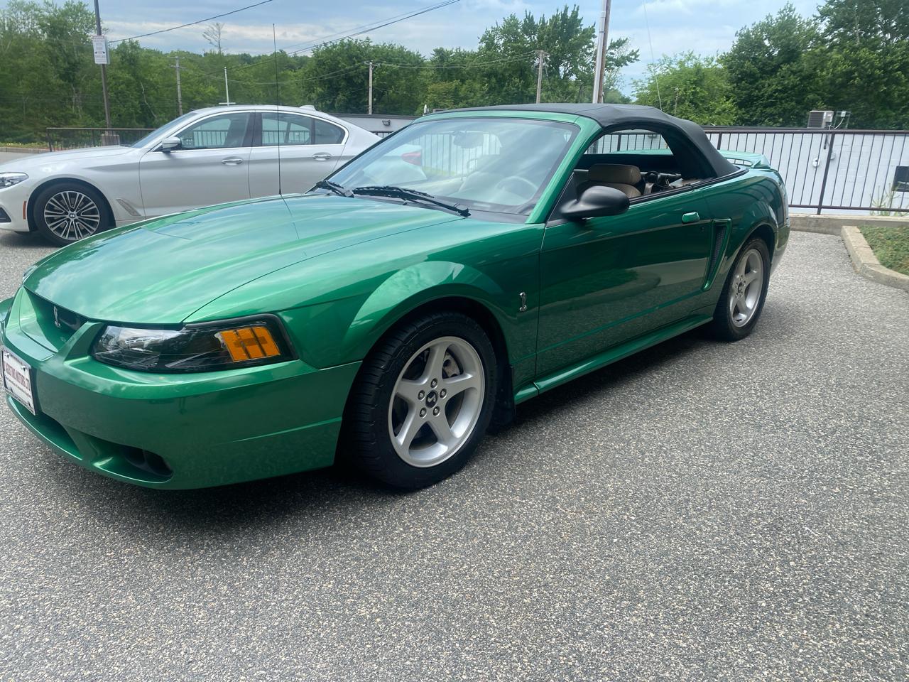 Ford Mustang SVT Cobra Convertible 1999