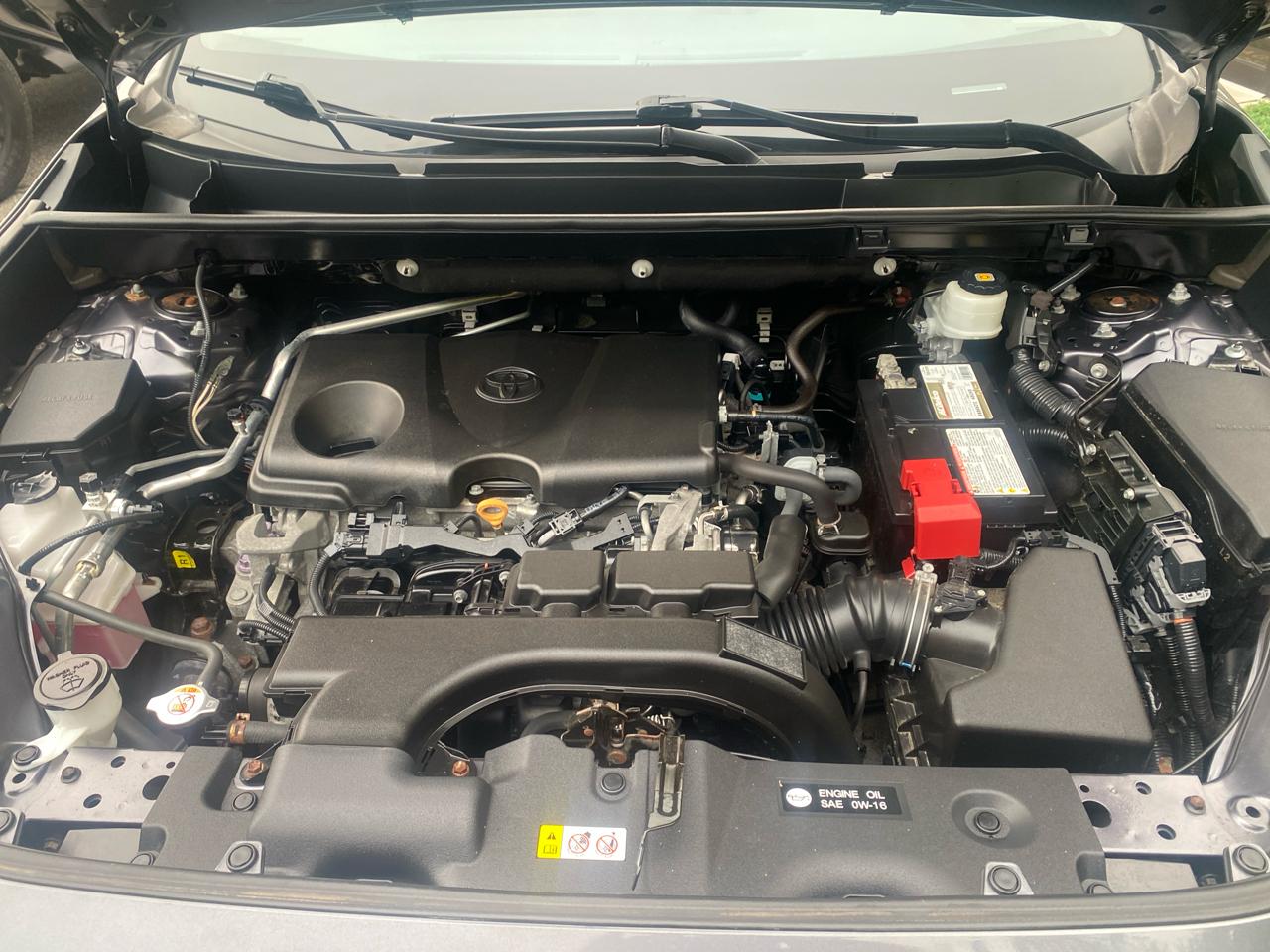 Toyota RAV4 XLE AWD 2019