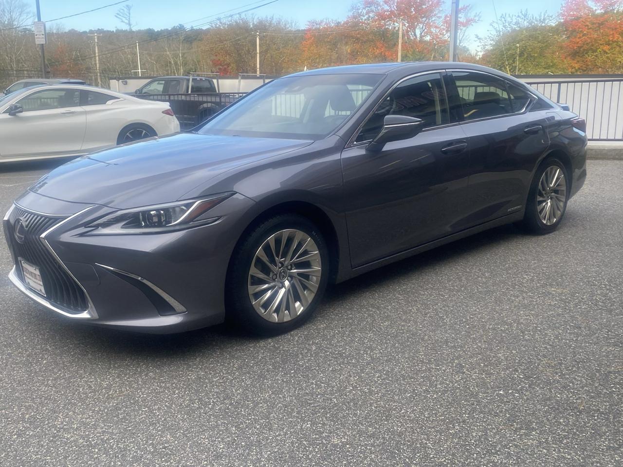 Lexus ES 300h Luxury 2019