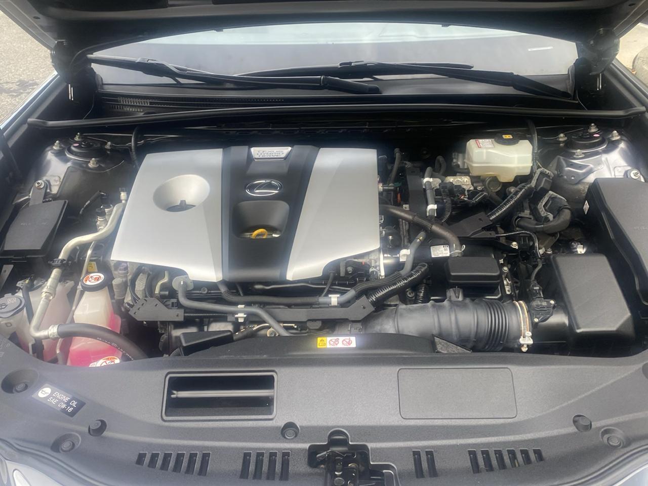 Lexus ES 300h Luxury 2019