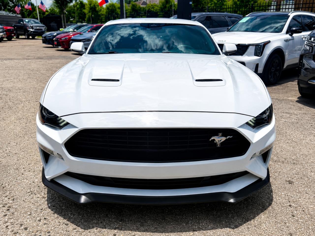 Ford Mustang GT Premium Coupe 2019