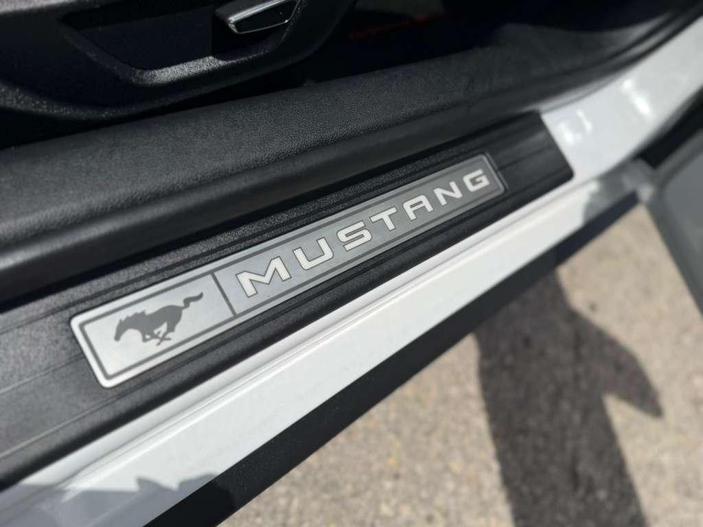 Ford Mustang GT Premium Coupe 2019