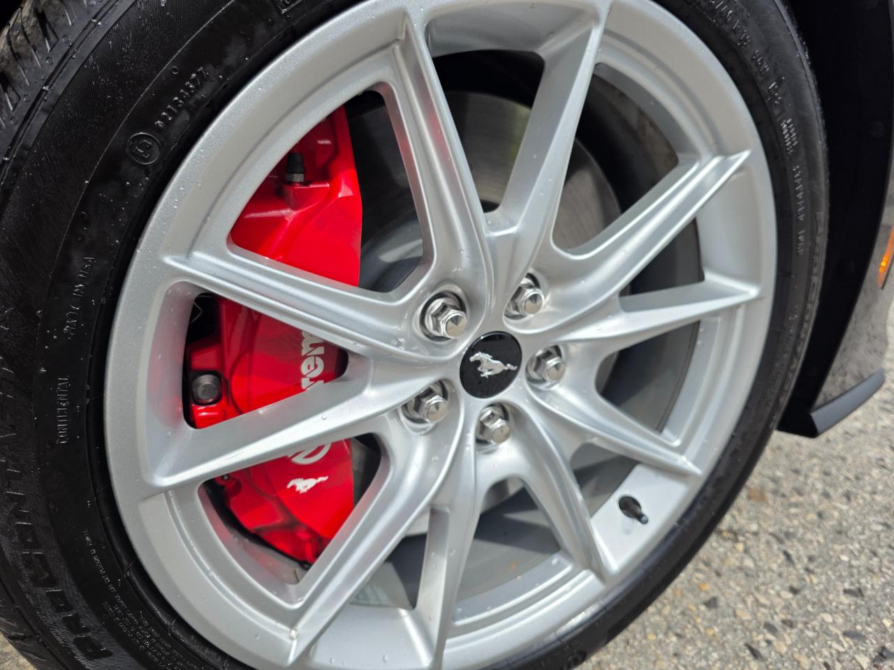 Ford Mustang GT Premium Coupe 2024