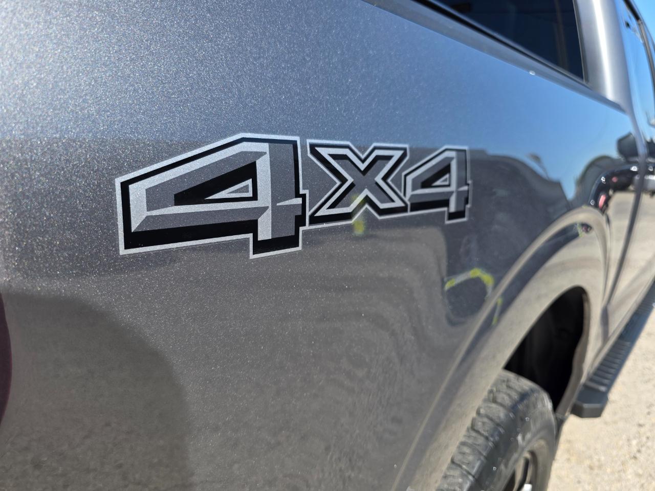Ford F-150 XLT SuperCrew 5.5-ft. Bed 4WD 2023