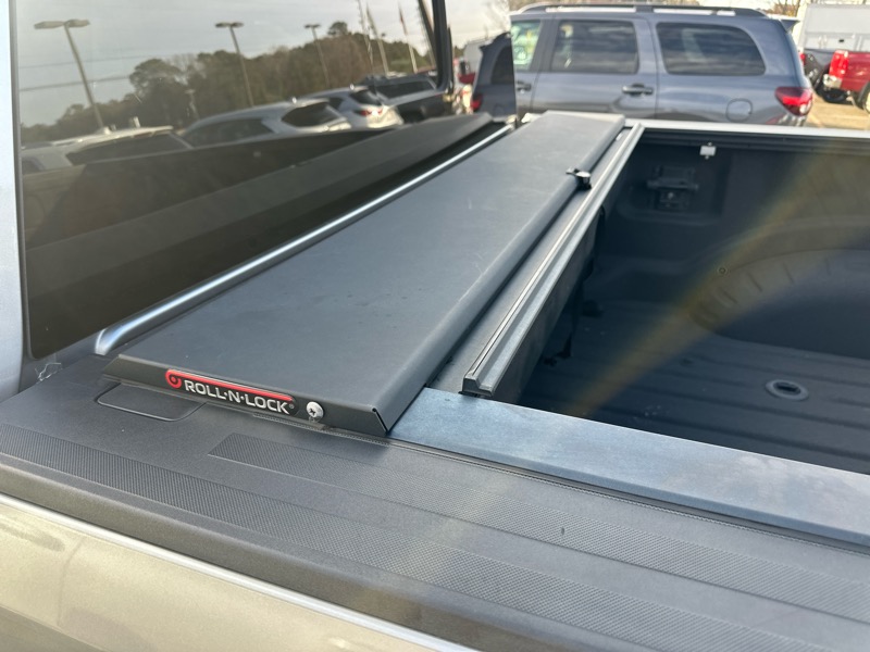 Ford Super Duty F-250 SRW Platinum 4WD Crew Cab 6.75' Box 2020