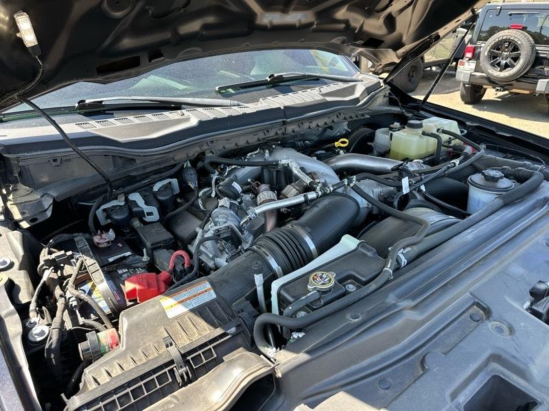 Ford Super Duty F-250 SRW King Ranch 4WD Crew Cab 8' Box 2020