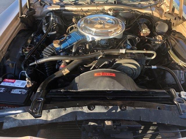 Ford Thunderbird  1977