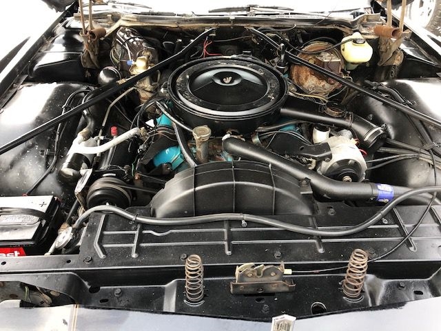 Oldsmobile Toronado  1978