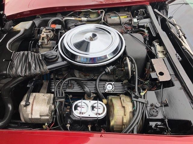 Chevrolet Corvette  1981