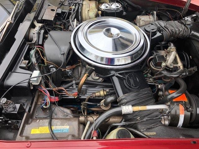 Chevrolet Corvette  1981