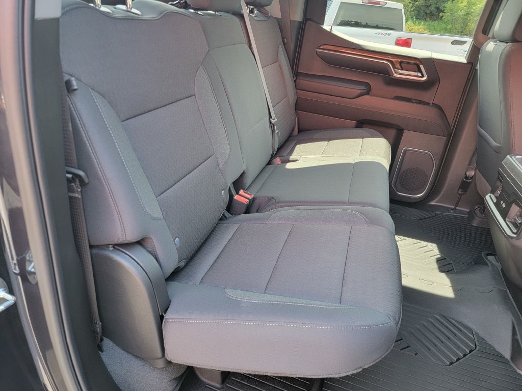 Chevrolet Silverado 1500 Trail Boss LT Crew Cab 4WD 2023 Chevrolet Silverado 1500 Trail Boss LT Crew Cab 4WD 2023