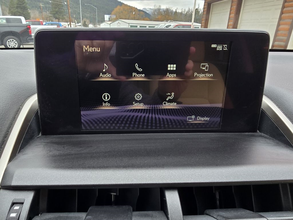 Lexus NX NX 300 Luxury AWD 2021