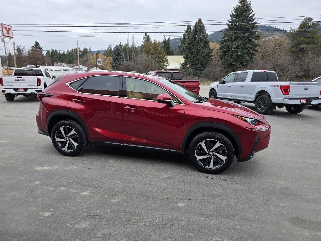 Lexus NX NX 300 Luxury AWD 2021