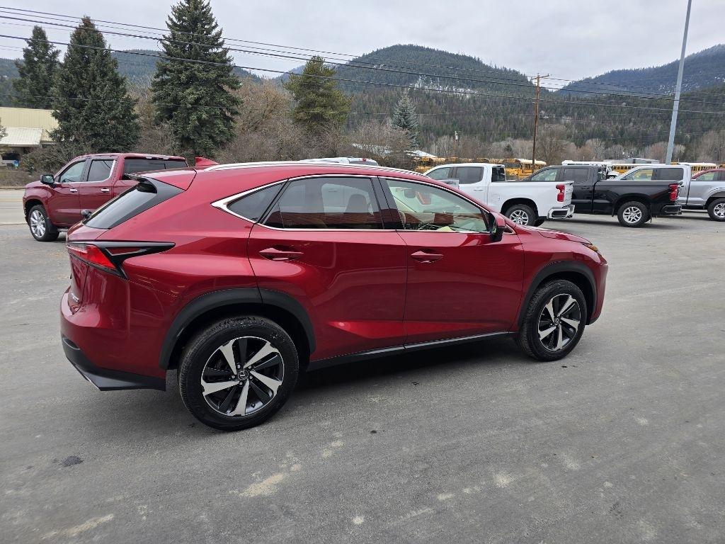 Lexus NX NX 300 Luxury AWD 2021