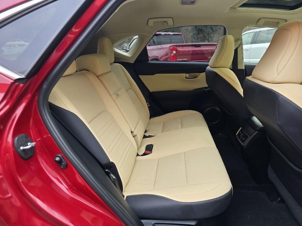 Lexus NX NX 300 Luxury AWD 2021