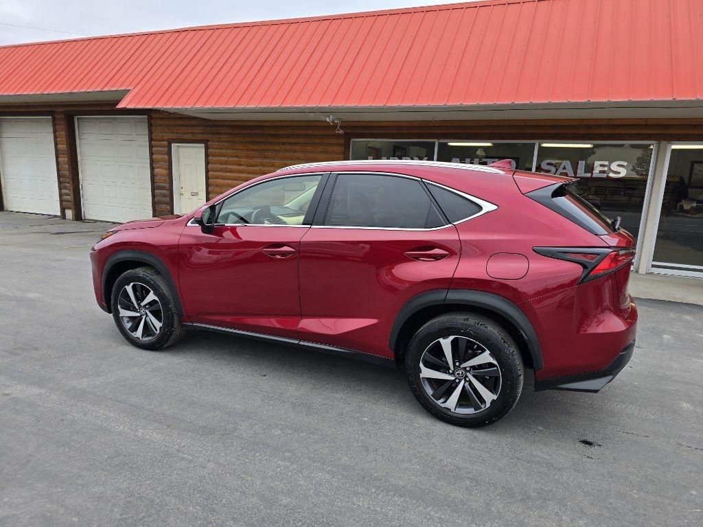 Lexus NX NX 300 Luxury AWD 2021