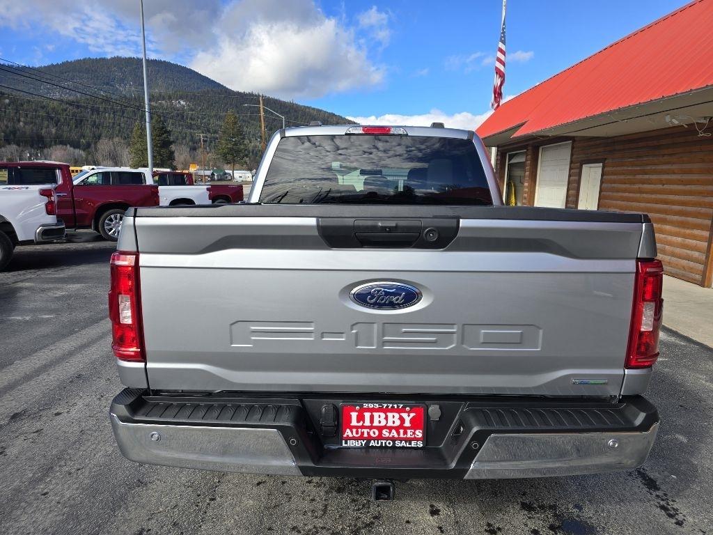 Ford F-150 XLT SuperCrew Short Box 4WD 2023