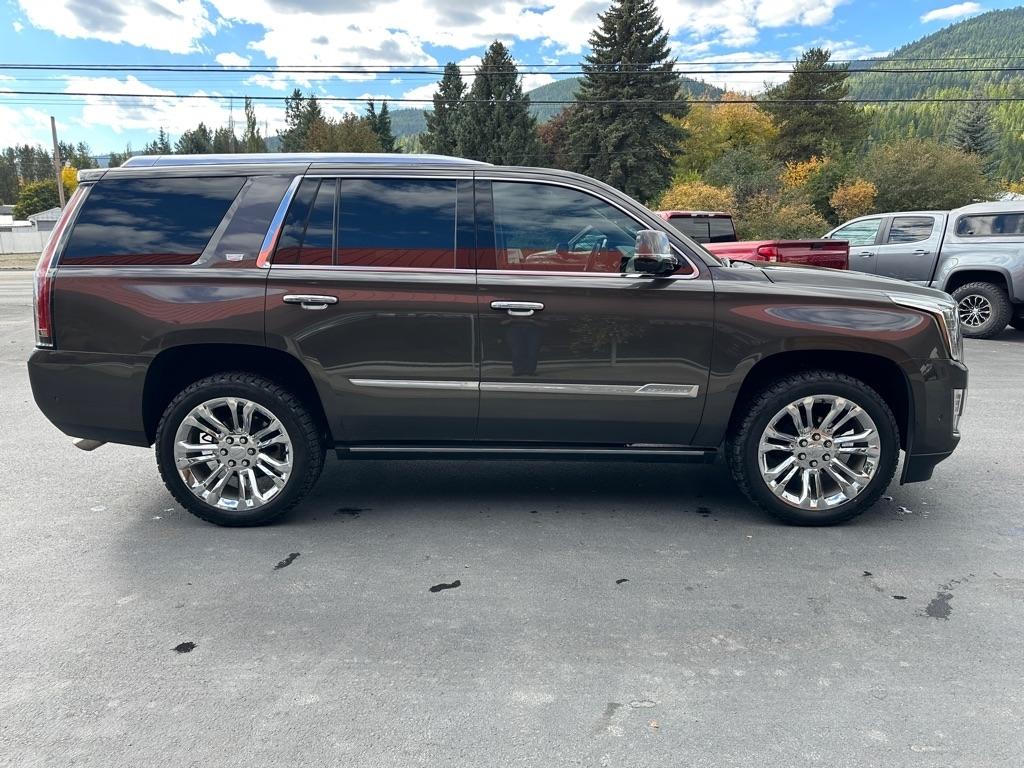 Cadillac Escalade 4WD 4dr Premium Luxury 2020