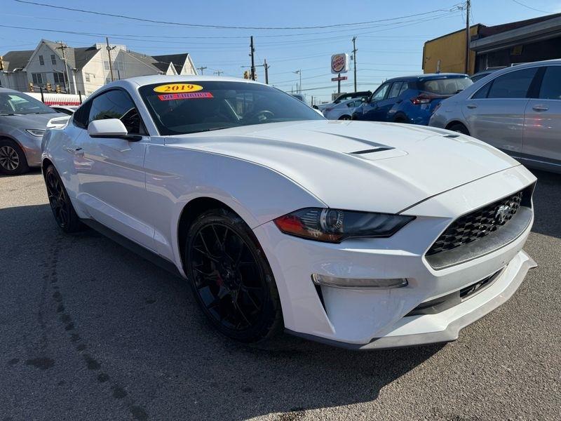 Ford Mustang EcoBoost Coupe 2019