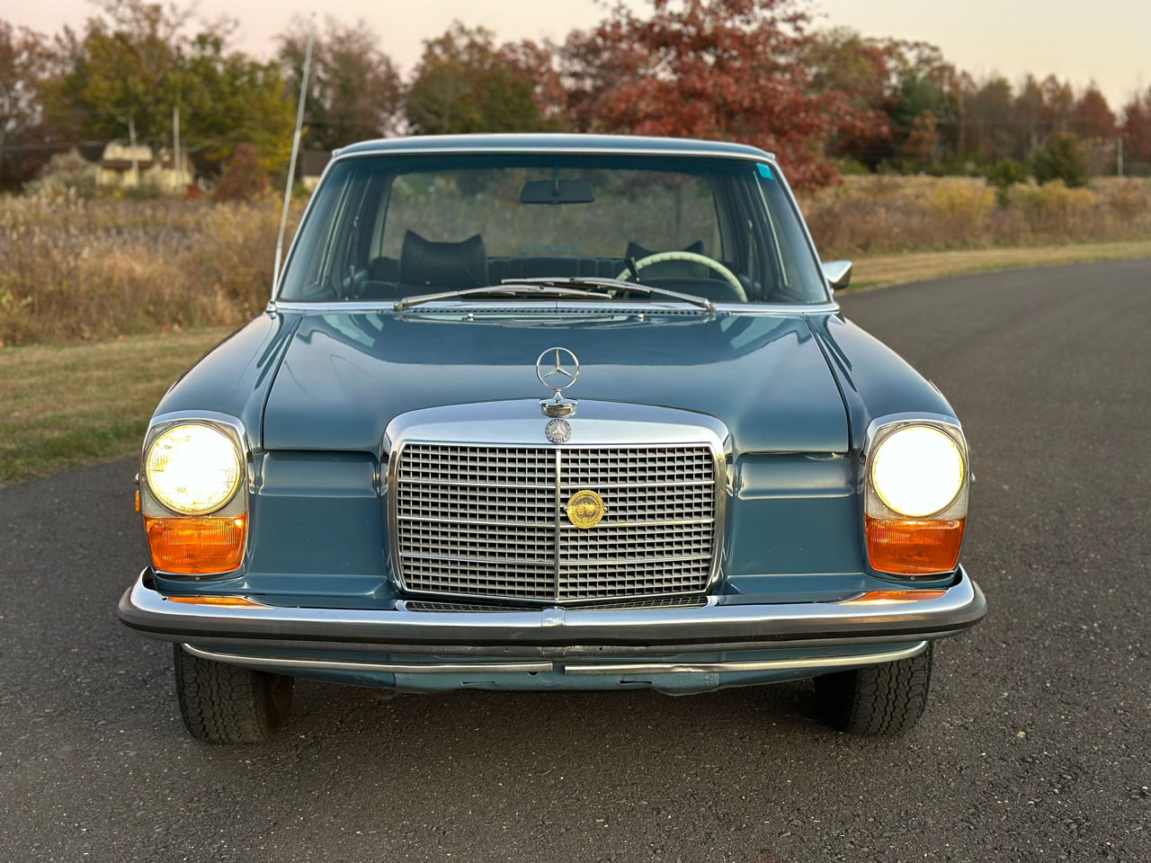 Mercedes-Benz 230-Class  1969
