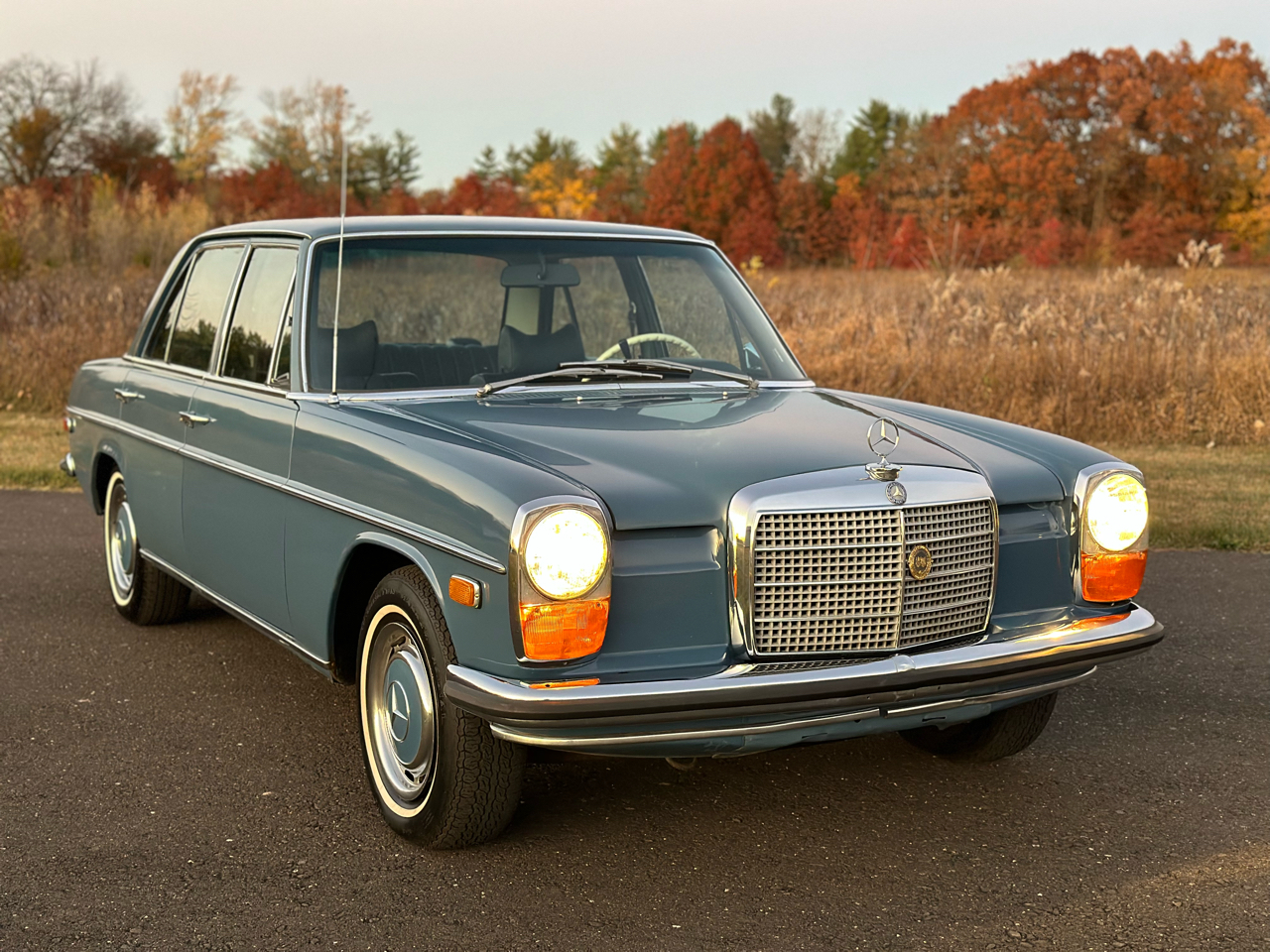 Mercedes-Benz 230-Class  1969