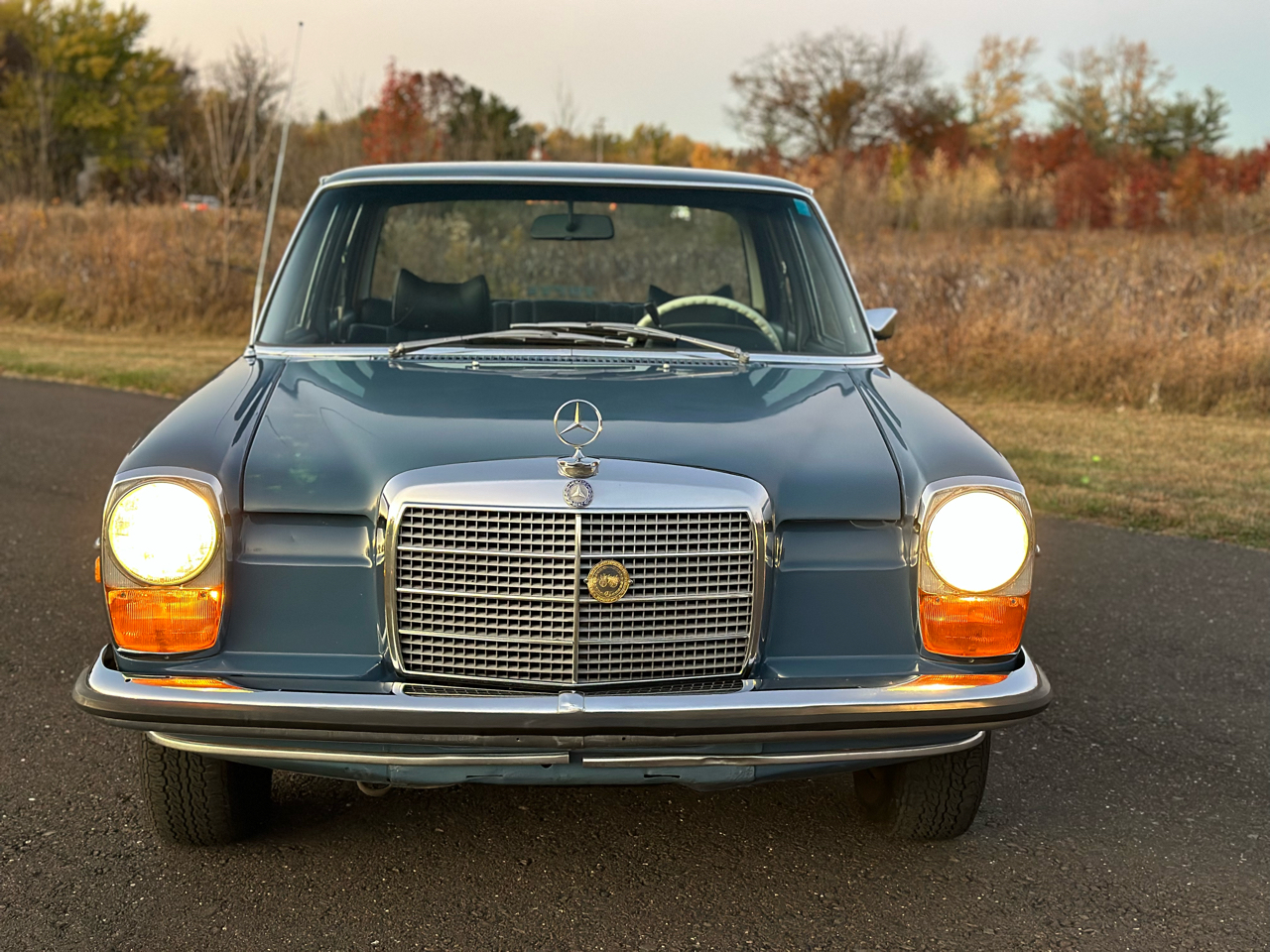 Mercedes-Benz 230-Class  1969