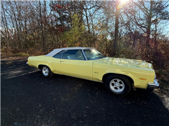 1975 Oldsmobile Delta 88 