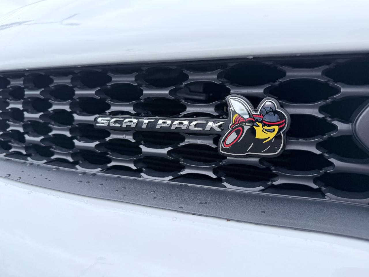 Dodge Charger Scat Pack RWD 2023