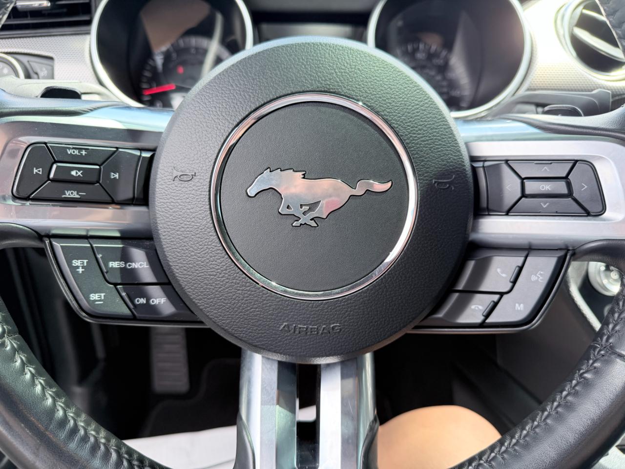 Ford Mustang GT Fastback 2021