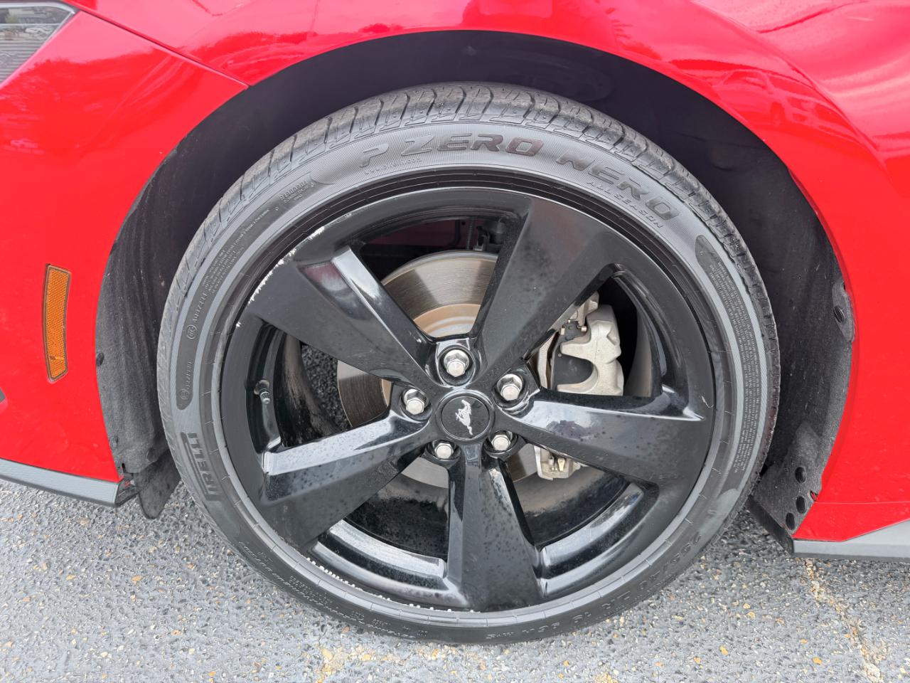 Ford Mustang EcoBoost Fastback 2024