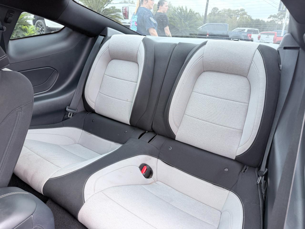 Ford Mustang EcoBoost Fastback 2024