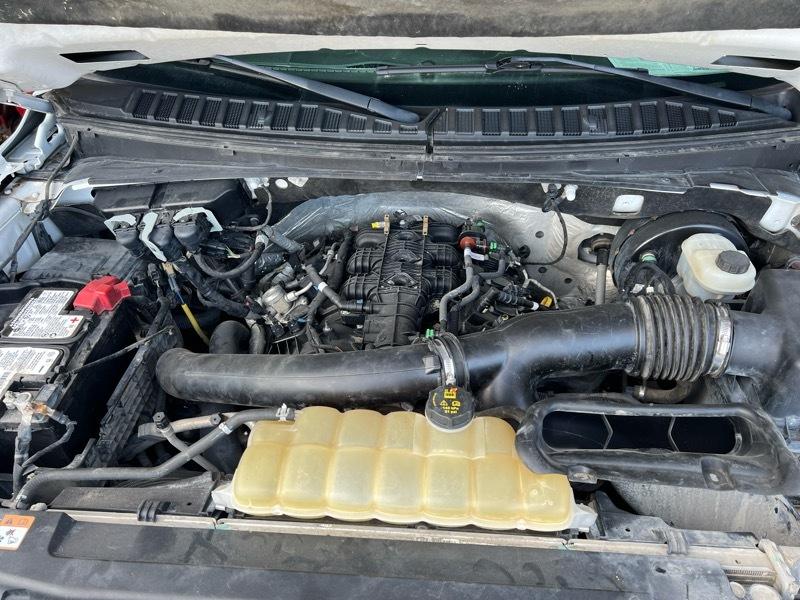 Ford Expedition EL XL 4WD 2021