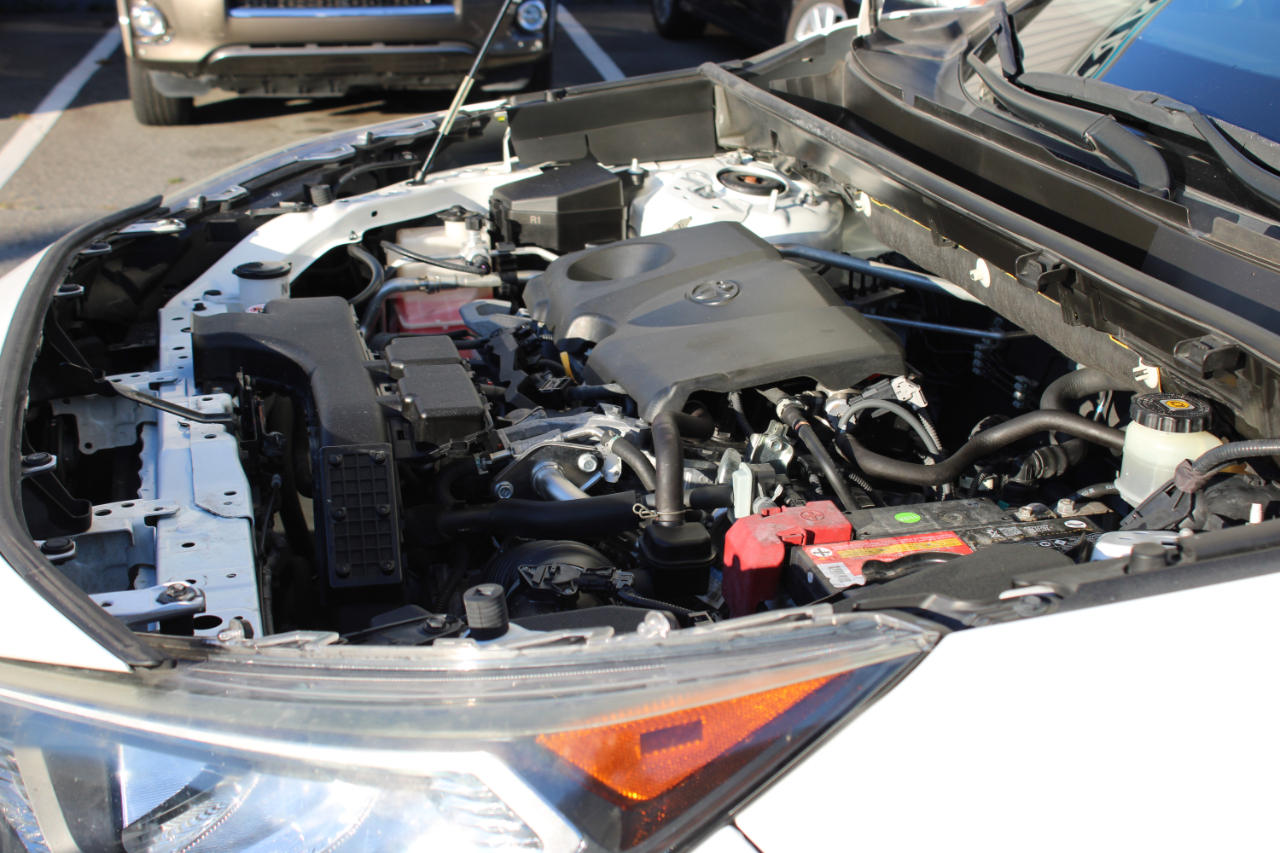 Toyota RAV4 XLE 2019 Toyota RAV4 XLE 2019