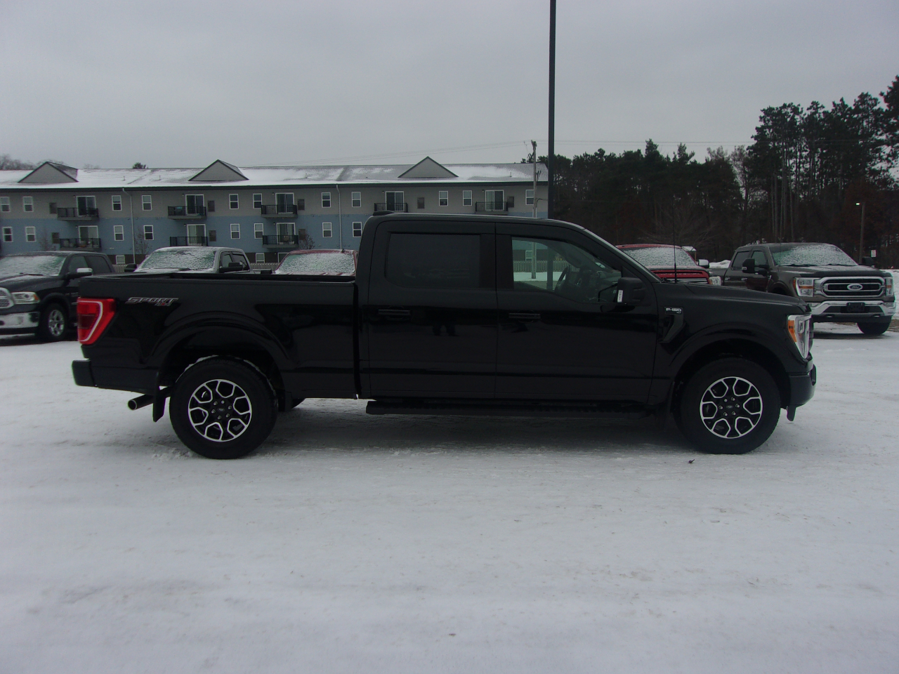 Ford F-150 XLT 4WD SuperCrew 5.5' Box 2022