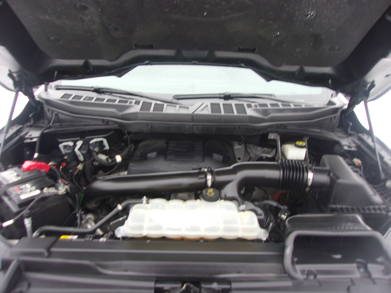 Ford F-150 XLT 4WD SuperCrew 5.5' Box 2022