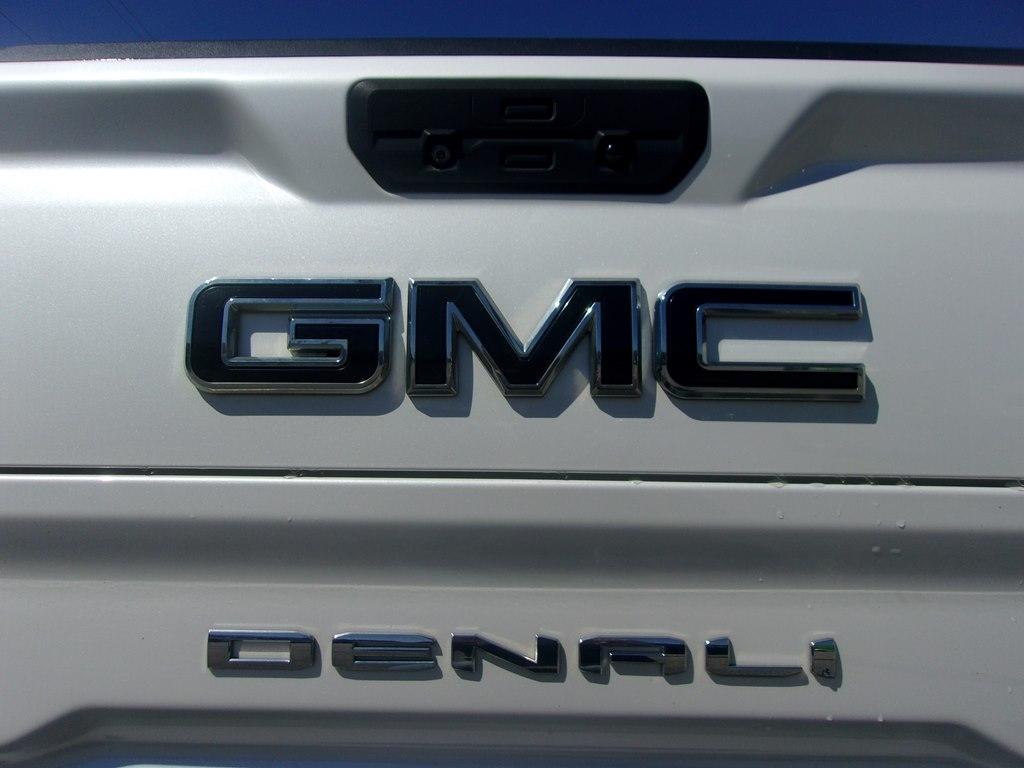 GMC Sierra 1500 4WD Crew Cab 147" Denali 2019