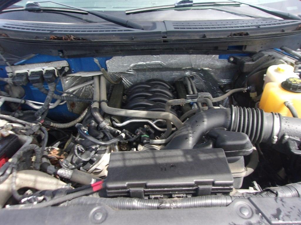 Ford F-150 4WD SuperCrew 145" Platinum 2014
