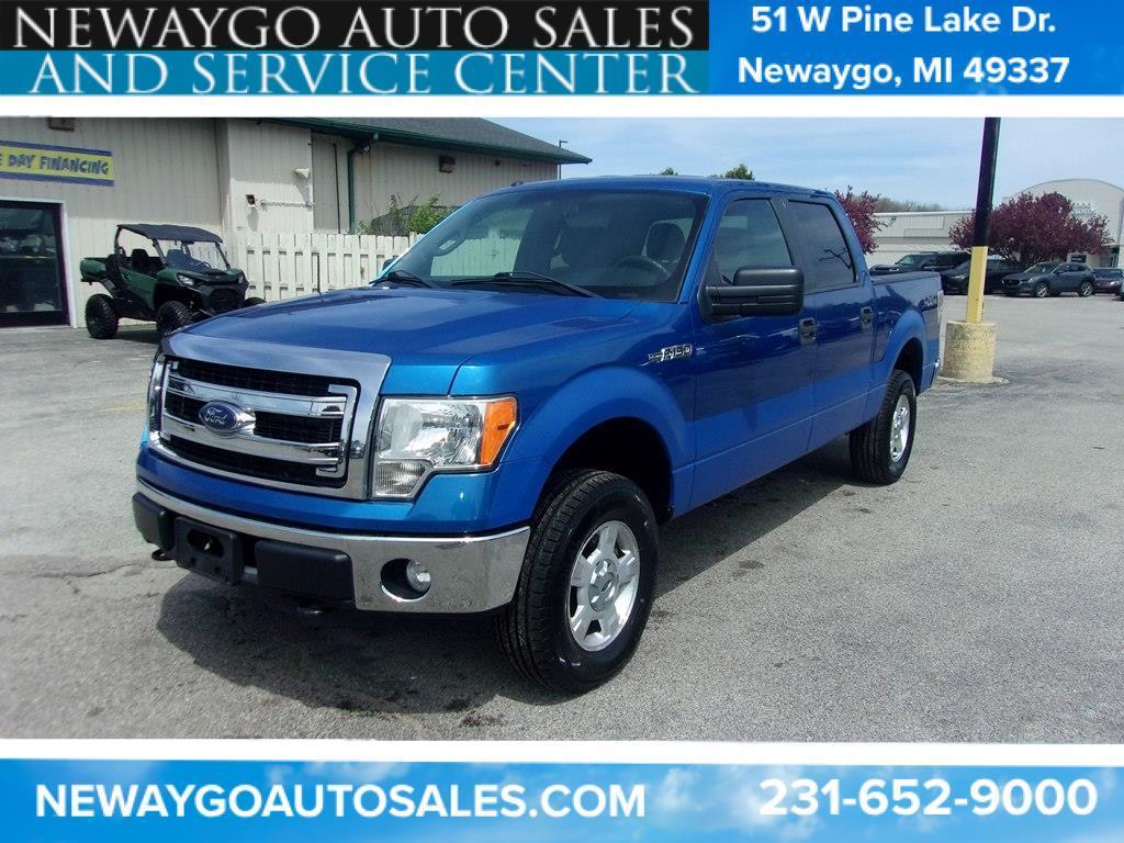 Ford F-150 4WD SuperCrew 145" Platinum 2014