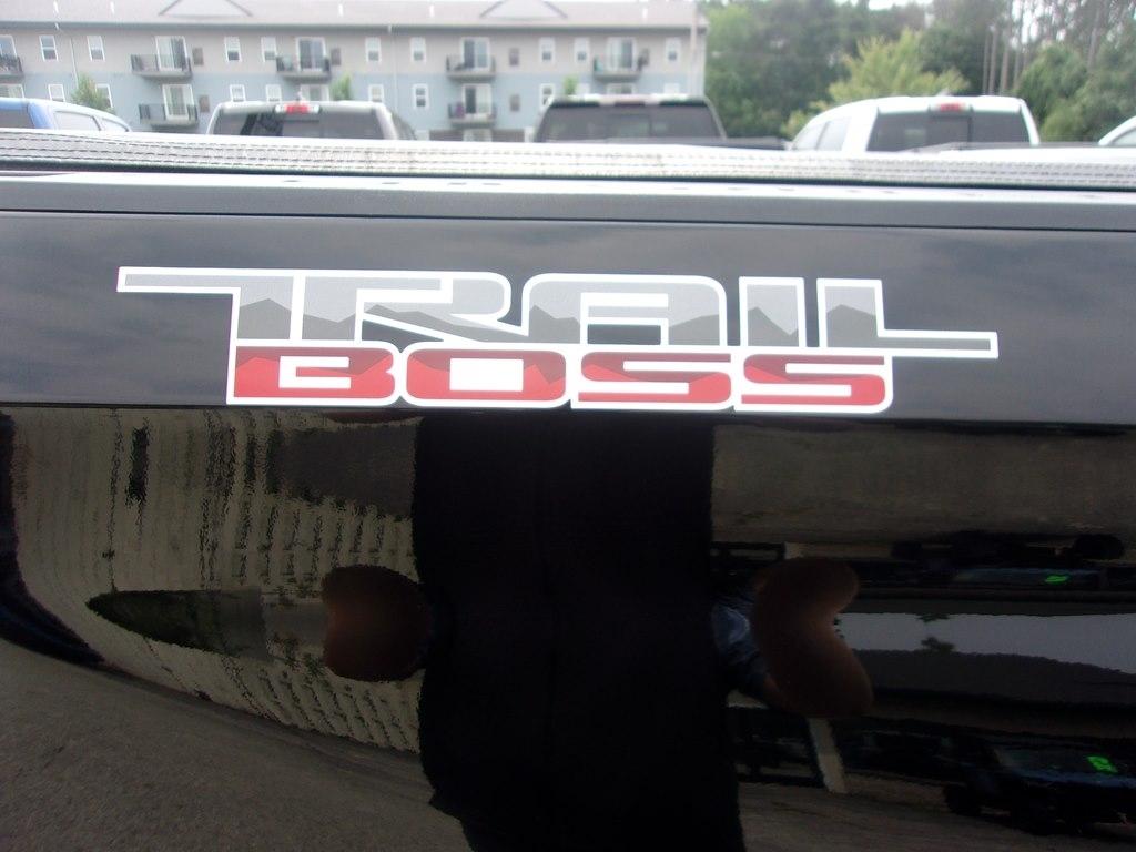 Chevrolet Silverado 1500 4WD Crew Cab 157" LT Trail Boss 2020