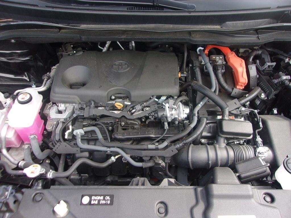 Toyota Sienna Platinum AWD 7-Passenger (Natl) 2024